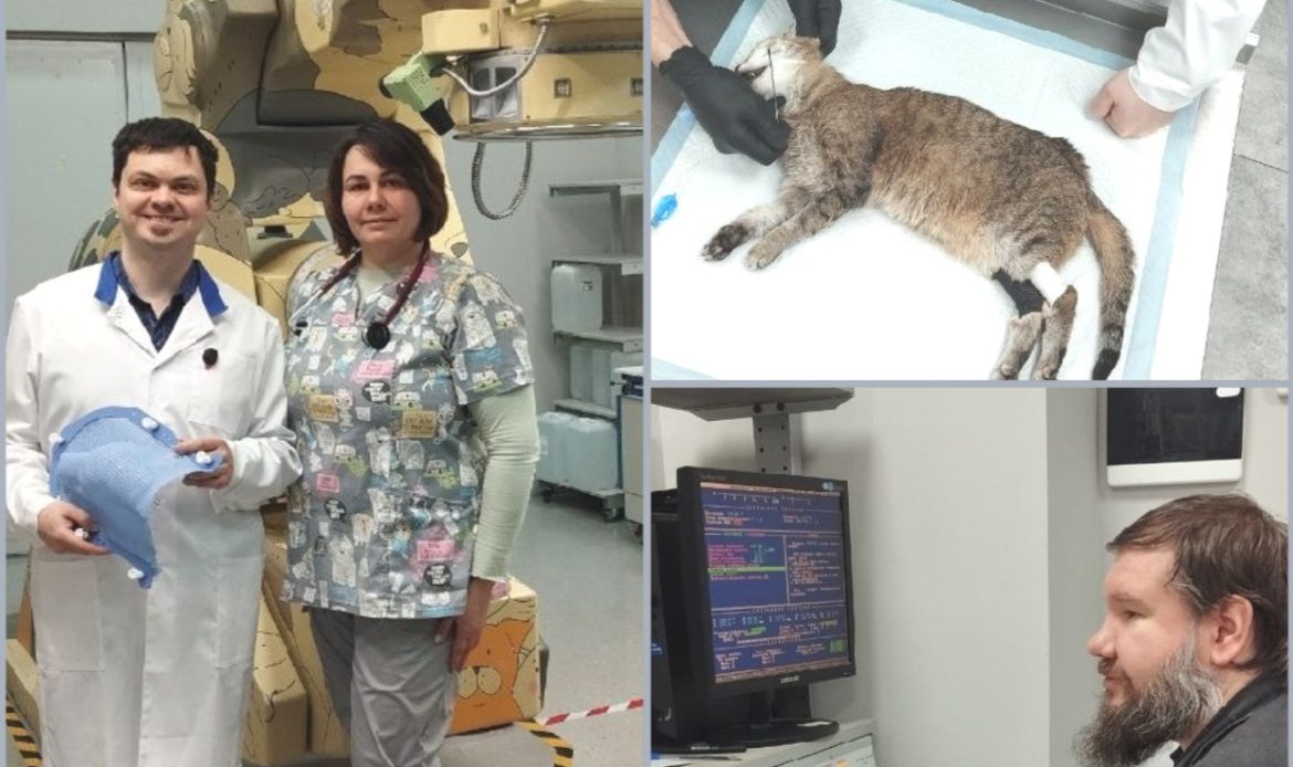 Неоперабельный плоскоклеточный рак верхней челюсти