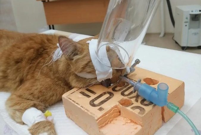 лучевая терапия