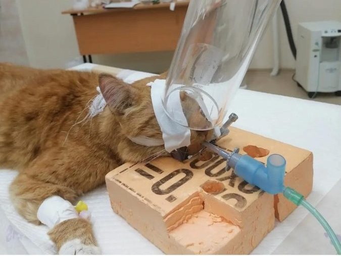 лучевая терапия