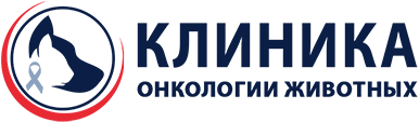 Клиника онкологии животных