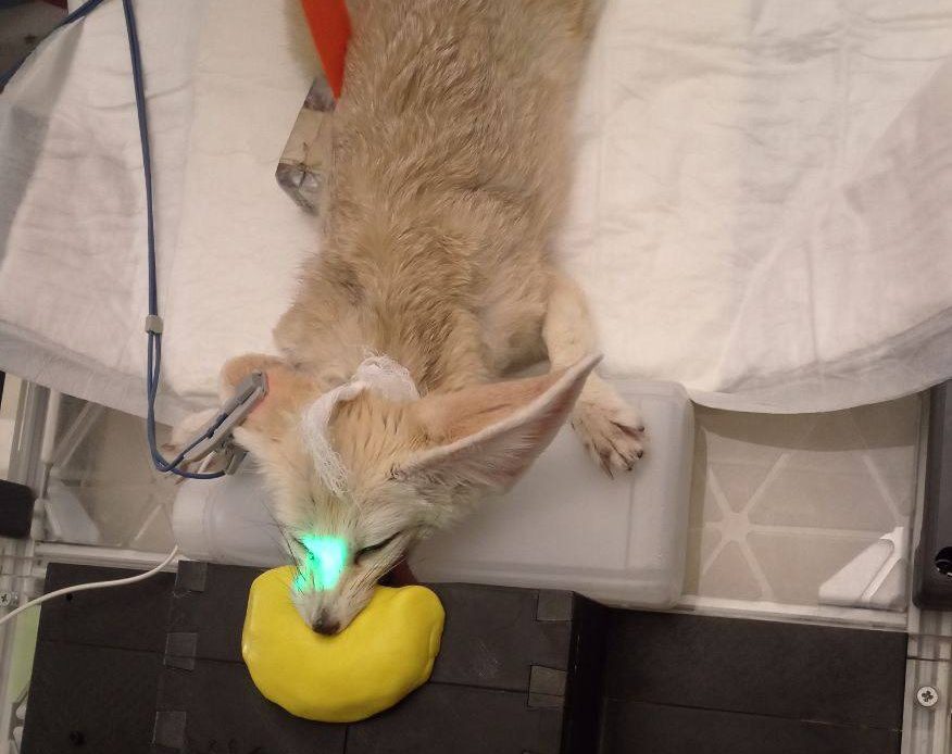 photo 2025 10 28 15 17 46