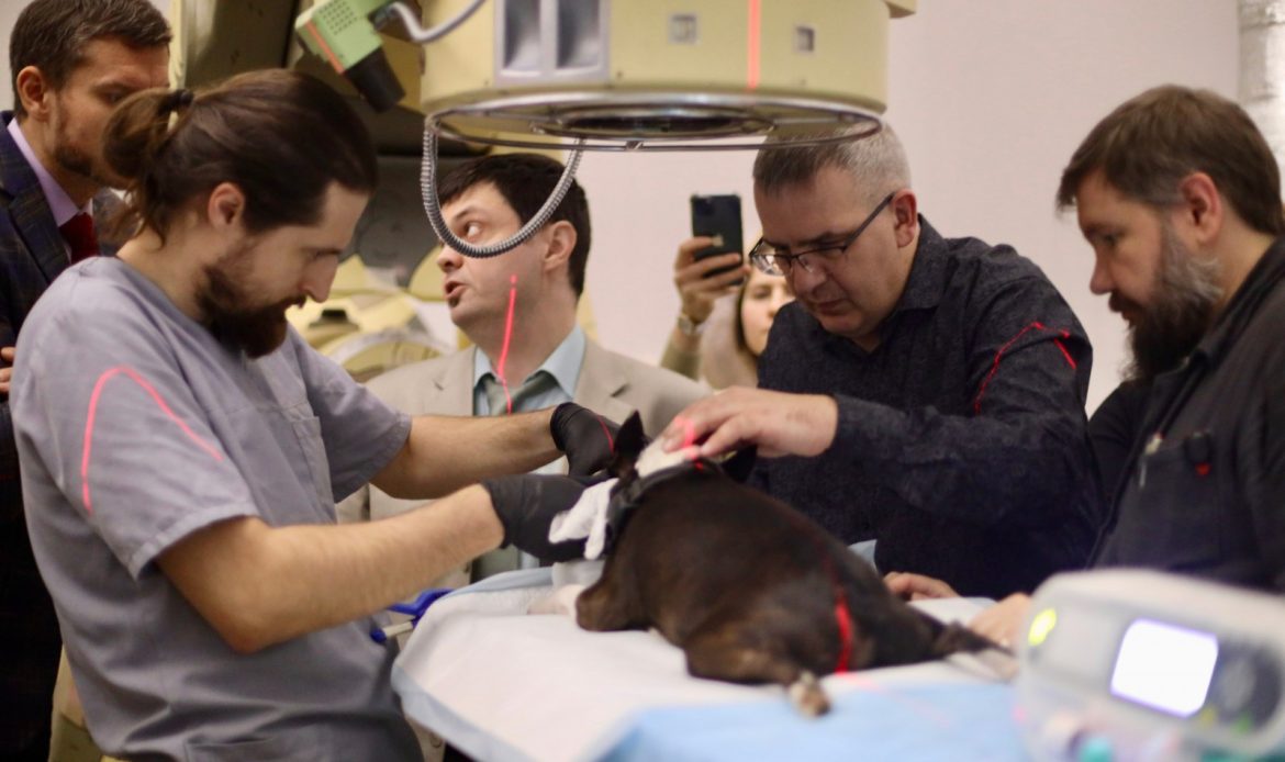 photo 2025 11 27 12 18 40