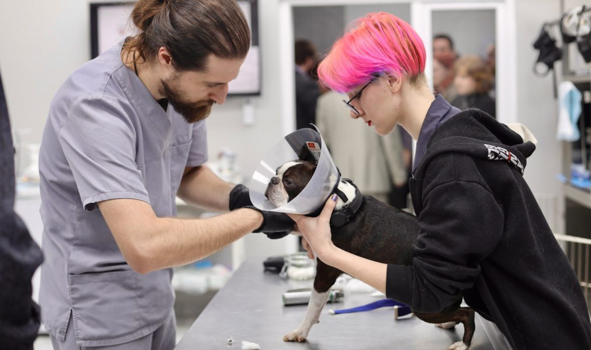 photo 2025 11 27 12 18 43